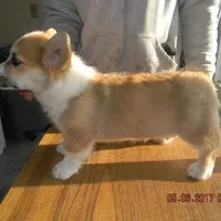 processed/c3feb05b-6c7f-4e85-a024-7b27c5bc9c12/facility/c1fd0bfc-4a4e-4486-ac53-84714d1727bf