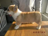 processed/c3feb05b-6c7f-4e85-a024-7b27c5bc9c12/facility/c1fd0bfc-4a4e-4486-ac53-84714d1727bf