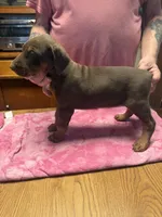 processed/c3feb05b-6c7f-4e85-a024-7b27c5bc9c12/listing/ed78d76b-3be9-4ca5-8e72-8df5dc9e18c7/835cb106-c34f-4103-ad84-40204380b4db