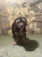 processed/c405adc1-5459-47b2-b871-747f39e47d47/listing/d493a163-fc36-4003-aaf5-ab1399d20e9b/4655ea08-ab16-4261-b4a9-1c4e4b3e3a83