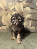 processed/c405adc1-5459-47b2-b871-747f39e47d47/listing/d493a163-fc36-4003-aaf5-ab1399d20e9b/46c9dda9-8260-4ef5-831f-2fad9cf18467