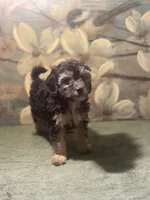 processed/c405adc1-5459-47b2-b871-747f39e47d47/listing/d493a163-fc36-4003-aaf5-ab1399d20e9b/5a6ba139-b581-4cca-92df-2d829b6e506a