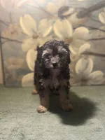 processed/c405adc1-5459-47b2-b871-747f39e47d47/listing/d493a163-fc36-4003-aaf5-ab1399d20e9b/a01f58b9-c1a3-45f5-90ad-c329c8717e86