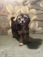 processed/c405adc1-5459-47b2-b871-747f39e47d47/listing/d493a163-fc36-4003-aaf5-ab1399d20e9b/bb911bcc-9ac1-4ea3-80e1-0a4c85e76fef