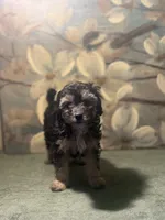 processed/c405adc1-5459-47b2-b871-747f39e47d47/listing/d493a163-fc36-4003-aaf5-ab1399d20e9b/d321973c-8c32-43bc-88f7-00ccf10e2275