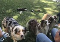 processed/c4111d3c-e766-46a6-8668-d1cd5039a92d/facility/6b8048ab-e6bb-4119-8188-1bf48de6af48