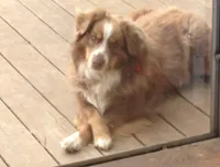 processed/c4111d3c-e766-46a6-8668-d1cd5039a92d/facility/a971e4f0-19e1-4826-80d4-b614890722fa