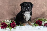 processed/c41768a3-4549-43b4-88ff-2fe9142f2716/listing/15eec326-30a2-4073-b66b-d40e9eb0013a/71b3fef6-9b07-4680-8dd4-036ec4673d7a