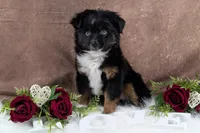 processed/c41768a3-4549-43b4-88ff-2fe9142f2716/listing/15eec326-30a2-4073-b66b-d40e9eb0013a/e2f3268d-b26b-400e-b283-638af4bbb086