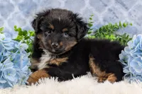 processed/c41768a3-4549-43b4-88ff-2fe9142f2716/listing/1d8129fb-6912-4736-9569-48b3eb308492/8b84ad87-1657-4101-831f-fbd06a97fd23