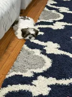 Lily , a female Shih Tzu for sale in Jersey City, NJ – 1 of 2