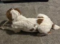 processed/c43737e9-1ba6-4e23-a1d7-e3b76ed1b1fe/listing/24ee0c2c-846d-4077-a20b-9a7c664a965e/8e201bb5-d678-4d64-9f87-5b9073fed7db