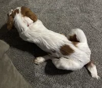 processed/c43737e9-1ba6-4e23-a1d7-e3b76ed1b1fe/listing/24ee0c2c-846d-4077-a20b-9a7c664a965e/d3c7f1e6-7808-4b2a-9156-7d283913a5c0