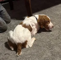 processed/c43737e9-1ba6-4e23-a1d7-e3b76ed1b1fe/listing/2ccc2bf7-ffa7-4d5e-af57-dfd58bf3920f/e35c14b2-9519-43ec-a73d-513548b7efca