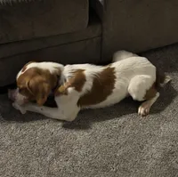 processed/c43737e9-1ba6-4e23-a1d7-e3b76ed1b1fe/listing/2ccc2bf7-ffa7-4d5e-af57-dfd58bf3920f/e98f1d88-3963-4726-ad7c-14e9aa9d7f9c