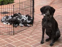 Facility photo