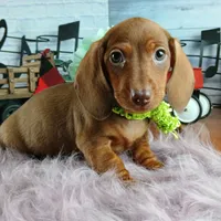 processed/c4455dac-4a78-4c96-845e-30559ddb9d69/facility/14efe610-5cc6-43ba-9215-a461a6ebe8b4