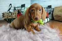 processed/c4455dac-4a78-4c96-845e-30559ddb9d69/facility/14efe610-5cc6-43ba-9215-a461a6ebe8b4