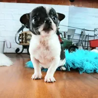 processed/c4455dac-4a78-4c96-845e-30559ddb9d69/facility/1f9362ef-4791-4358-afcd-45afcc80ea0a