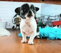 processed/c4455dac-4a78-4c96-845e-30559ddb9d69/facility/1f9362ef-4791-4358-afcd-45afcc80ea0a