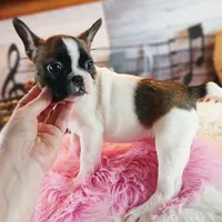 processed/c4455dac-4a78-4c96-845e-30559ddb9d69/facility/266c6f7e-9d64-4784-8936-c893e17e1df7