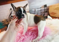 processed/c4455dac-4a78-4c96-845e-30559ddb9d69/facility/266c6f7e-9d64-4784-8936-c893e17e1df7