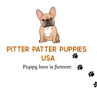 processed/c4455dac-4a78-4c96-845e-30559ddb9d69/facility/2d39b184-a77c-4035-87c2-7a7cf95df1b3