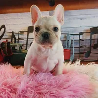 processed/c4455dac-4a78-4c96-845e-30559ddb9d69/facility/357491a1-a84d-4c0b-a60e-6864210271a5