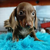 processed/c4455dac-4a78-4c96-845e-30559ddb9d69/facility/5f657ea1-d99d-4856-8e83-8e56ab622f6d