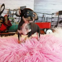 processed/c4455dac-4a78-4c96-845e-30559ddb9d69/facility/8152a74e-085f-47ba-9b4b-0deb45df6be0