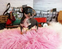 processed/c4455dac-4a78-4c96-845e-30559ddb9d69/facility/8152a74e-085f-47ba-9b4b-0deb45df6be0