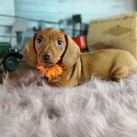 processed/c4455dac-4a78-4c96-845e-30559ddb9d69/facility/833e1f46-4e8a-47ef-9fc8-2b2c8a7d41e8