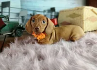 processed/c4455dac-4a78-4c96-845e-30559ddb9d69/facility/833e1f46-4e8a-47ef-9fc8-2b2c8a7d41e8