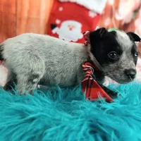 processed/c4455dac-4a78-4c96-845e-30559ddb9d69/facility/ee7c44d6-595a-4e7d-aebe-142e2814da3b