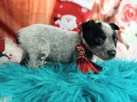 processed/c4455dac-4a78-4c96-845e-30559ddb9d69/facility/ee7c44d6-595a-4e7d-aebe-142e2814da3b