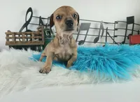 processed/c4455dac-4a78-4c96-845e-30559ddb9d69/listing/0a35f866-2633-441f-bc18-3de98f05de3f/37c9bf5d-973d-4208-a4ed-d81c6ed2f387