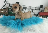 processed/c4455dac-4a78-4c96-845e-30559ddb9d69/listing/0a35f866-2633-441f-bc18-3de98f05de3f/7efc7d96-9dc7-4a04-83fa-59e135d1f761