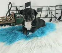 processed/c4455dac-4a78-4c96-845e-30559ddb9d69/listing/1d167bf3-07d2-4bf7-9e90-5a4d56bf01a8/38d0d77b-b9ef-4242-be9a-c588027caf4f