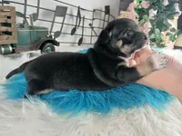 processed/c4455dac-4a78-4c96-845e-30559ddb9d69/listing/1d167bf3-07d2-4bf7-9e90-5a4d56bf01a8/63054f08-d5df-48a8-bb26-afbb23d71e39