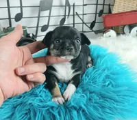 processed/c4455dac-4a78-4c96-845e-30559ddb9d69/listing/1d167bf3-07d2-4bf7-9e90-5a4d56bf01a8/8f007f82-3114-444a-8a61-a9c9c66754c3