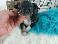 processed/c4455dac-4a78-4c96-845e-30559ddb9d69/listing/1d167bf3-07d2-4bf7-9e90-5a4d56bf01a8/c8e02b24-1c2e-4d8b-b709-51f1907f392a