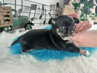 processed/c4455dac-4a78-4c96-845e-30559ddb9d69/listing/1d167bf3-07d2-4bf7-9e90-5a4d56bf01a8/e76e1a9d-de15-43ee-a863-7271b2db035b