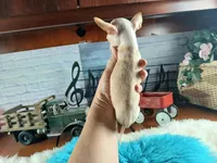 Vanillas cream teacup boy. Hand Delivery , a male Chihuahua for sale in Carthage, TX – 4 of 10