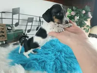 processed/c4455dac-4a78-4c96-845e-30559ddb9d69/listing/50dbf3fa-b2b1-41a8-8bb9-6e07ab2d9b98/0de69757-c407-4cd3-8f76-faea79c96c98