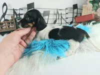 processed/c4455dac-4a78-4c96-845e-30559ddb9d69/listing/50dbf3fa-b2b1-41a8-8bb9-6e07ab2d9b98/205c0e91-acc0-4c0e-86e9-4a4c15aa34e6