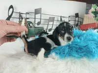 processed/c4455dac-4a78-4c96-845e-30559ddb9d69/listing/50dbf3fa-b2b1-41a8-8bb9-6e07ab2d9b98/b12aacbe-3a9d-4793-9cc4-280e9f5e1f7b