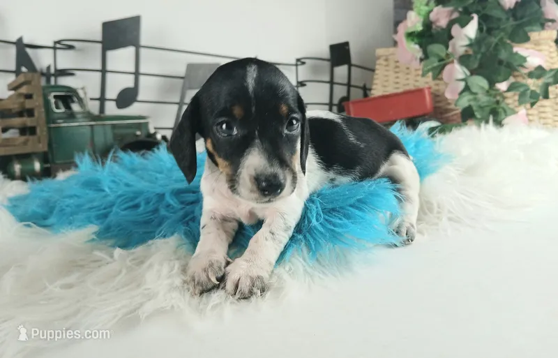 Nationwide deliverySuzietriboy