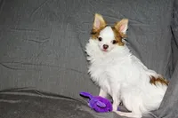 processed/c4479aa9-4f03-4eec-996c-99411a5657d5/listing/3040e7e0-a87a-467e-9614-f88f744b4e50/3a61fab1-381e-4c4c-932c-bc1dabf9252f