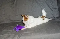 processed/c4479aa9-4f03-4eec-996c-99411a5657d5/listing/3040e7e0-a87a-467e-9614-f88f744b4e50/4c786a44-8da6-4739-b9a7-48eec66b4b65