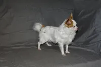 processed/c4479aa9-4f03-4eec-996c-99411a5657d5/listing/3040e7e0-a87a-467e-9614-f88f744b4e50/7dd5bfdb-3f9a-4490-8e10-604cc58287c2